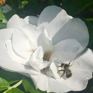 Meet your Posher, Sandi